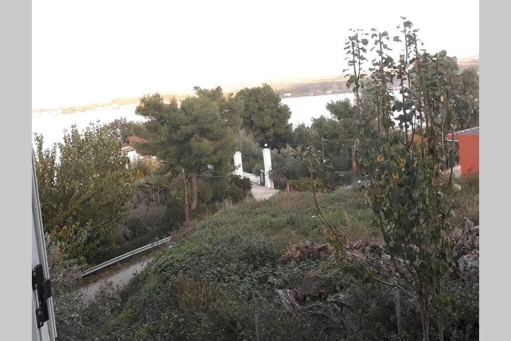 Amazing Sea View-Neos Pyrgos Beach -Evoia Greece Néos Pírgos Esterno foto